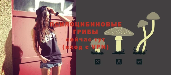 MDMA Богородск