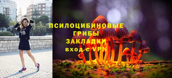 mdpv Богданович