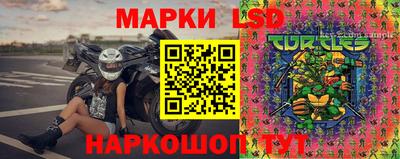 spice Вязники