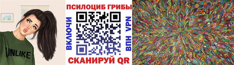 Псилоцибиновые грибы ЛСД  Верхняя Пышма 