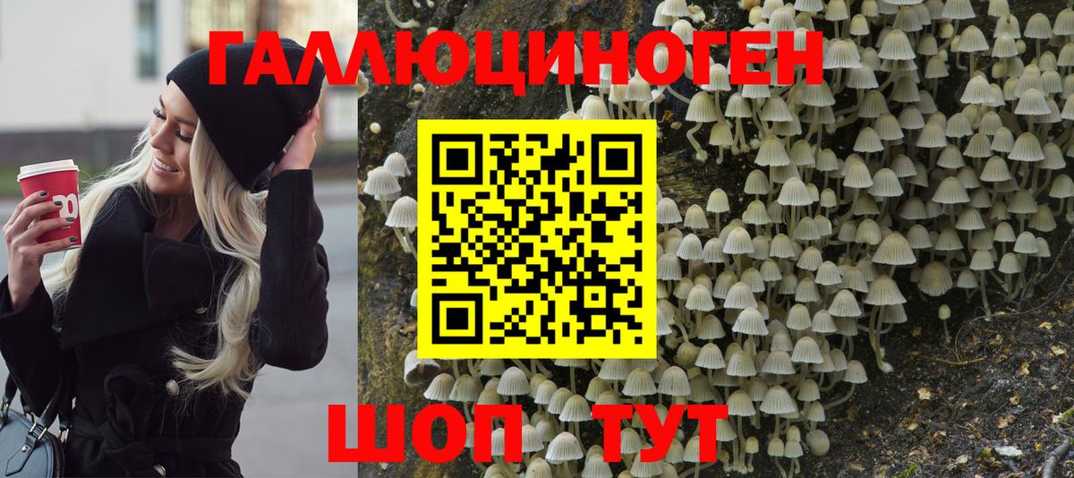 Галлюциногенные грибы MAGIC MUSHROOMS  даркнет сайт  Верхняя Пышма  Вход с VPN 